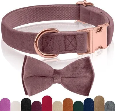 Produktbild von Weiches Halsband mit abnehmbarem Streifen, verstellbar, für kleine, mittelgroße und große Hunde