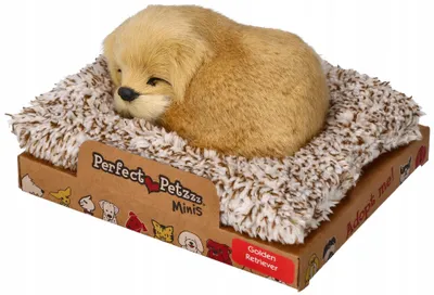 Zdjęcie produktu dla Perfect Petzzz Interaktywny Szczeniaczek Golden Retriever 13 cm
