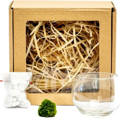 Obrázek produktu pro Gardners Skleněná váza boule 6 cm a 1 řasokoule v dárkovém balení