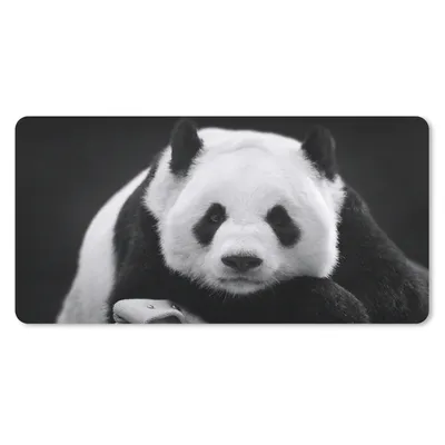 Produktbild von MuchoWow® Schreibtischunterlage Panda - Schwarz - Weiß 80x40 cm - XXL Mauspad - Gaming Mauspad