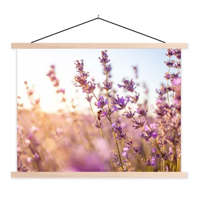 Produktbild von MuchoWow® Textilposter Lavendel - Nahaufnahme - Sonne - Blumen - Lila 60x45 cm mit holzfarbenen Rahmen - Bild