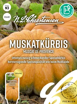 Produktbild von Muskatkürbis Muscat de Provence | Muskatkürbissamen von N.L. Chrestensen