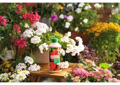 Produktbild von Blütenpflanzen- und Balkonpflanzendünger manna Plantiful 700 g für max. 700 L Gießwasser
