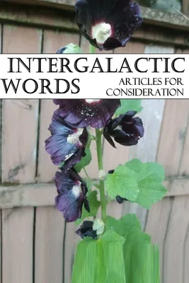 Produktbild von Intergalactic Words