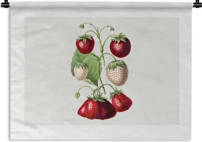 Produktbild von MuchoWow® Wandteppich Wandbehang Erdbeeren - Pflanze - Lebensmittel 150x112.50 cm Tapisserie Dekoration Wandtuch - Wanddecke - Wandteppiche