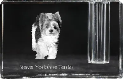 Produktbild von Biewer Terrier, Biewer Yorkshire Terrier - Stifthalter, Kristallorganizer mit Hundefoto, einzigartige Schreibtischdekoration der Marke Art-Dog