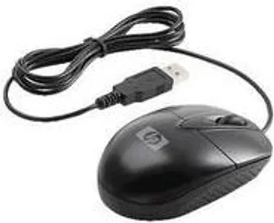 Image de HP Optical USB Travel Mouse - Maus - optisch - 3 Tasten - kabelgebunden - USB (RH304AA)