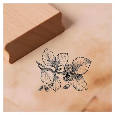 Produktbild von Motivstempel Bucheckern - Holzstempel für Scrapbooking und Stempeln - Abdruckgröße 48 x 38 mm
