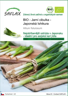 Obrázek produktu pro SAFLAX - BIO - Jarní cibulka - Japonská Ishikura - Allium fistulosum - 150 Semena