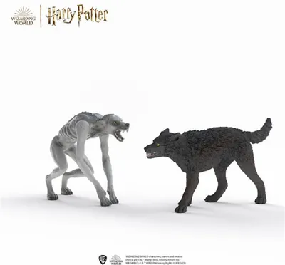 Zdjęcie produktu dla schleich Harry Potter 14906, 6 lat(a), Harry Potter™, Wielobarwny, Plastik