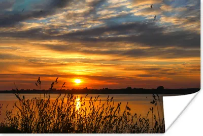 Produktbild von MuchoWow® Poster Sonnenuntergang - Meer - Horizont - Himmel - Pflanzen 120x80 cm - Bilder
