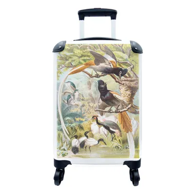 Produktbild von MuchoWow® Koffer Handgepäck Trolley Rollkoffer Kleine Reisekoffer mit 4 Rollen - Antike Vogeldrucke Familie - Cabin Size < 55x40x23 cm & 55x40x20 cm - Fotokoffer - Kabinenkoffer - Boardgepäck - Reise-Box - Reisekoffer - Reisegepäck - Koffer mit Bild - Trolley für Kinder