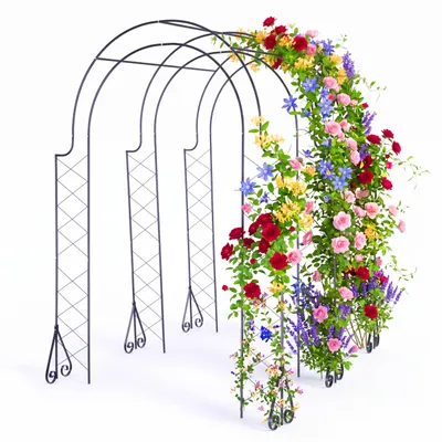 Zdjęcie produktu dla Relaxdays Łuk różany, metalowy, wymiary: 250 x 180 x 210 cm, łuk ogrodowy, solidna konstrukcja do pnączy, czarny