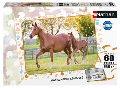Productafbeelding van Nathan 86167, 60 stuks, 6 jaar