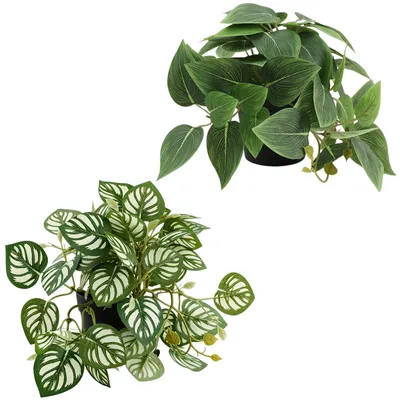 Immagine prodotto di Piante artificiali in miniatura, set da 2, edera artificiale, decorazioni per interni
