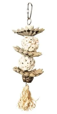 Image de Retour Zoo Nature Boules Palm Star