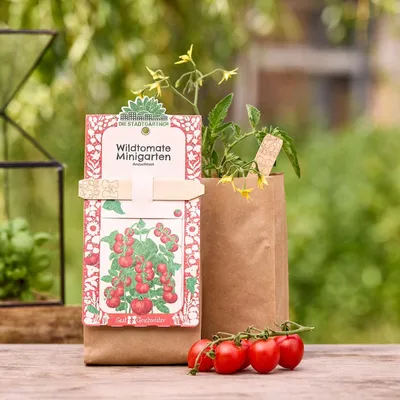 Immagine prodotto di Kit di coltivazione Mini giardinoPomodoro selvatico - Kit completo con semi