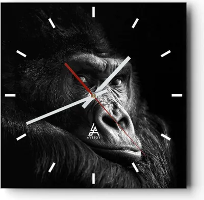Produktbild von Wanduhr - Quadrat - Glasuhr - Affe Gorilla Porträt - 40x40cm - Schleichendes Uhrwerk - Lautlos - zum Aufhängen bereit - Dekoration Modern - Wanddekoration aus Glas - C3AC40x40-5007