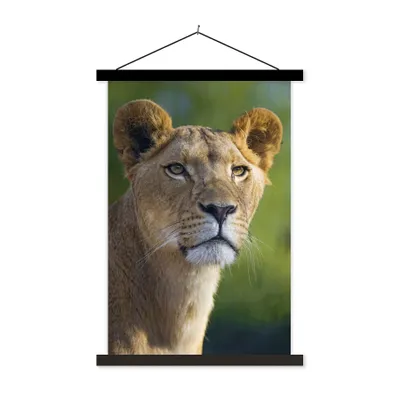 Produktbild von MuchoWow® Textilposter Porträt - Löwe - Wild 40x60 cm mit schwarzem Rahmen - Wanddekorationen