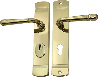 A pair of brass door handles with escutcheons on a white background.