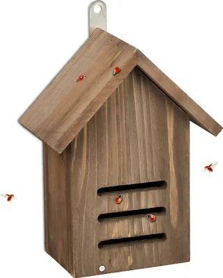 Immagine prodotto di Relaxdays Casetta per coccinelle, hotel per coccinelle da giardino, da appendere, legno non trattato, A x L x P: 22 x 17 x 10 cm, marrone