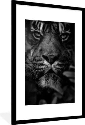 Produktbild von MuchoWow® Gerahmtes Poster Nahaufnahme von Blättern und einem Tiger im Dschungel - schwarz und weiß 60x90 cm - Poster mit Schwarzem Bilderrahmen Wandposter Rahmen Foto Bilder - Dekoration - Wandposter Wohnzimmer - Hochwertig