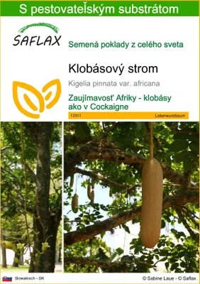 Obrázok produktu pre SAFLAX - klobásový strom - Kigelia pinnata var. africana - 10 Semená - S pestovateľským substrátom bez klíčkov
