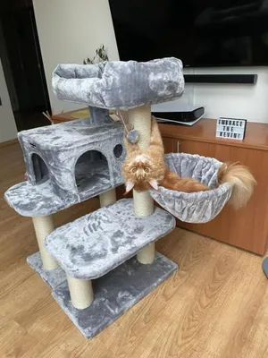 A cat is playing on a cat tree in a living room.
