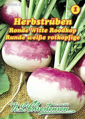 Produktbild von Herbstrübe Runde weiße rotköpfige | Herbstrübensamen von N.L. Chrestensen