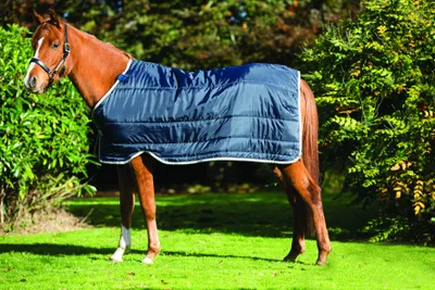 Produktbild von Horseware Liner 200 Liner Navy/Navy , Horseware Deckengröße:160 cm / 7´0