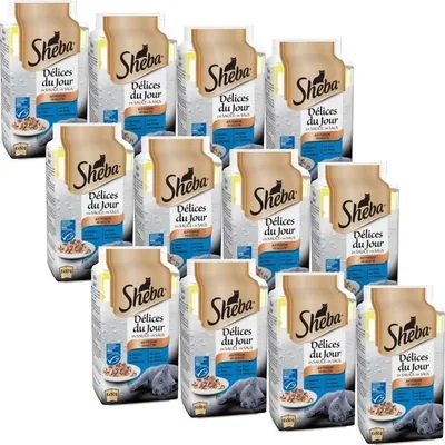 Produktbild von SHEBA Delights of the Day Frischepackungen in Sauce - Fisch - für Katze - 6 x 50 g (x12)