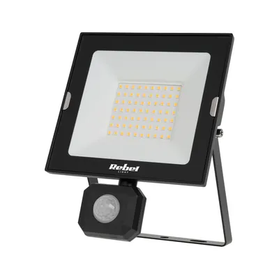 Zdjęcie produktu dla Reflektor LED Rebel z czujnikiem ruchu, 50W, 4250lm, światło neutralne, 4000K, IP65