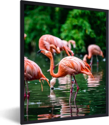 Produktbild von MuchoWow® Gerahmtes Poster Flamingo - Tropisch - Vogel - Wasser - Rosa 60x80 cm - Poster mit Schwarzem Bilderrahmen Wandposter Rahmen Foto Bilder - Premium - Wanddeko Wohnzimmer