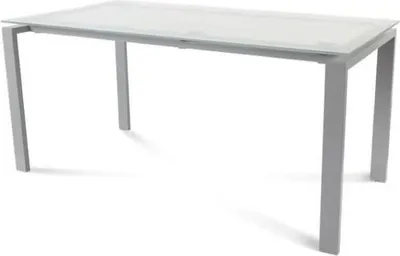 Produktbild von Schreibtisch Total BxTxH 160x80x73cm Gestell grau Platte Glas satiniert.