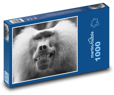 Obrázek produktu pro martinpuzzle - Puzzle 1000 - Vysmátá opice