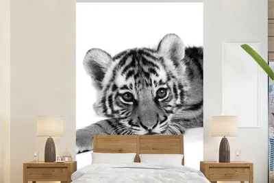 Produktbild von MuchoWow® Fototapete für Wohnzimmer oder Schlafzimmer Wandtapete Vinyl Motivtapete Nahaufnahme Tigerjunge auf weißem Hintergrund - schwarz und weiß - 195x300 cm - Das Hintergrundbild