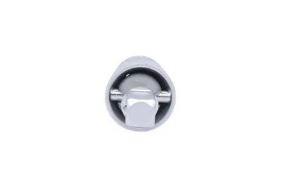 Obrázok produktu pre KS Tools 917.3850, Jedna položka, Kĺbový adaptér, Chróm-vanadová oceľ, 50 mm, 80 g, 1 kusov