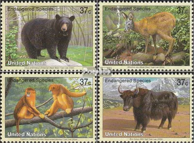 Produktbild von Briefmarken UNO - New York 2004 Mi 946-949 (kompl.Ausg.) gestempelt Säugetiere