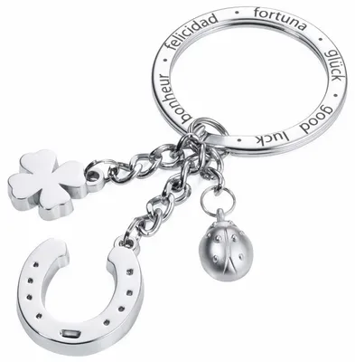 Produktbild von TROIKA KR16-11/CH, Schlüsselanhänger, Silber, 44 mm, 4 mm, 1 Stück(e)