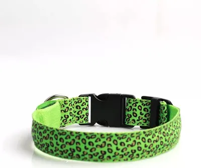 Image de Collier de chien LED motif léopard /Vert M