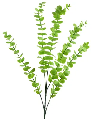 Produktbild von Kunstzweig Kunststoff Viridis Eukalyptus 80cm grün 1pc