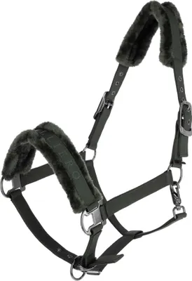 Produktbild von Covalliero Halfter opal green H/W 24, Größe:Pony
