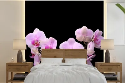 Produktbild von MuchoWow® Fototapete für Wohnzimmer oder Schlafzimmer Wandtapete Vinyl Motivtapete Orchidee - Blumen - Rosa - Flora - 350x350 cm - Schlafzimmertapete
