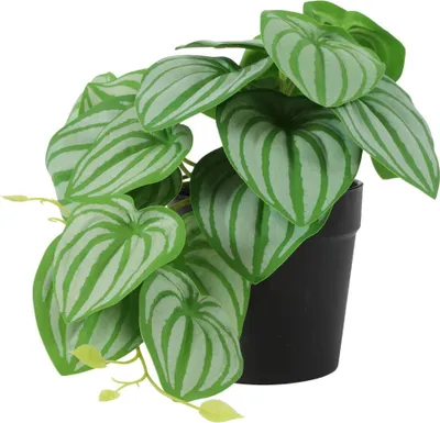 Produktbild von Kunstpflanze Philodendron grün Countryfield
