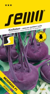 Produktbild von Samen - KOHLRABI 'MODRAVA'