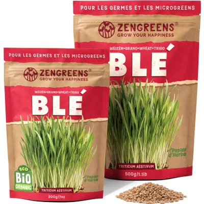 Image de ZenGreens® Graines Bio à Germer Blé 500 g – pour Graines Germées & Micropousses