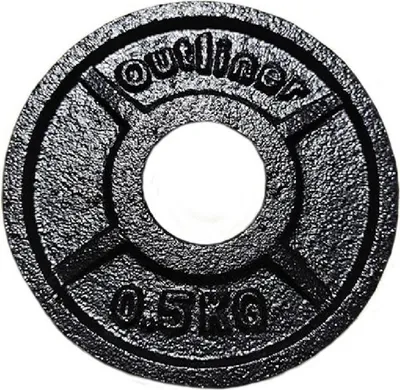 Image de Poids du disque YLPS36A 0,5 kg 31 mm Outliner