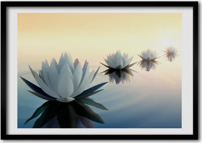 Produktbild von Bild - Bilder - Bilderrahmen - 70 cm x 50 cm - MDF-Rahmen, Wandkunst Lotusblumen