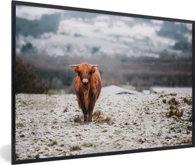 Produktbild von MuchoWow® Gerahmtes Poster Schottischer Highlander - Schnee - Berg 90x60 cm - Poster mit Schwarzem Bilderrahmen Wandposter Rahmen Foto Bilder - Fotorahmen - Foto-Plakat