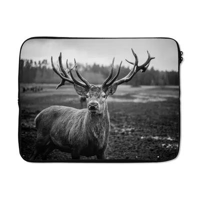 Produktbild von MuchoWow® Laptop Hülle 15 Zoll Tiere - Hirsch - Geweih - Schwarz und weiß - Natur Laptoptasche - Laptoptasche - Sleeve - Rundum-Schutz